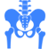 Hip Fractures
